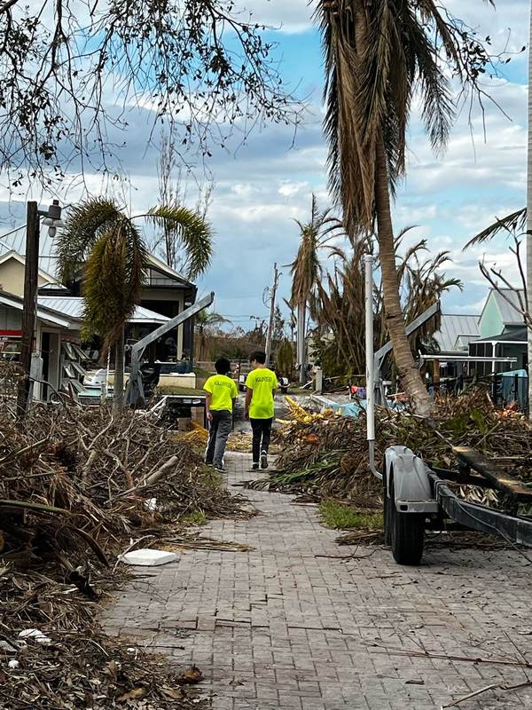 Volunteers clearing a path past a fallen palm.